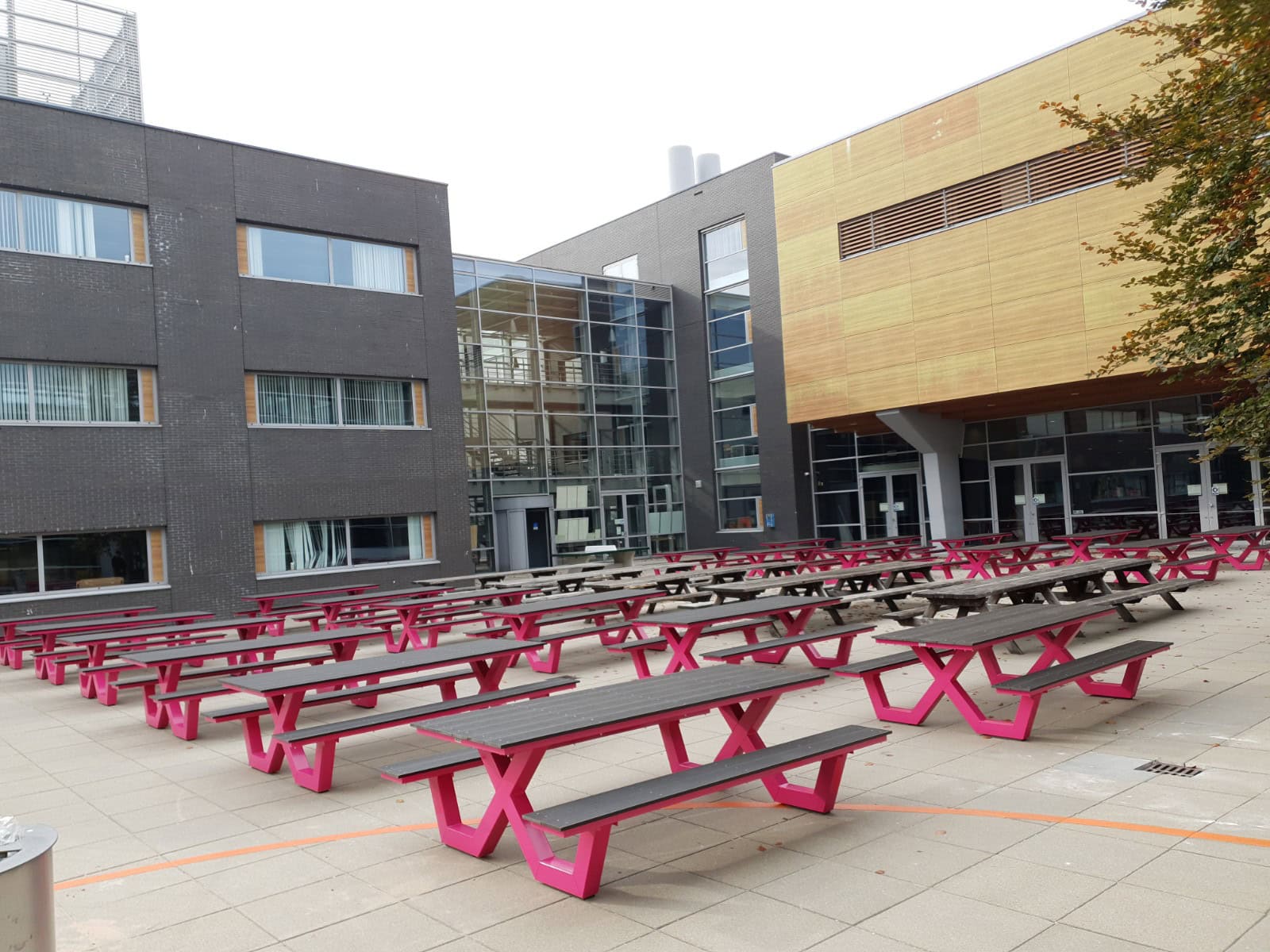 Schoolplein vol roze picknicktafels van houtcomposietdiscount