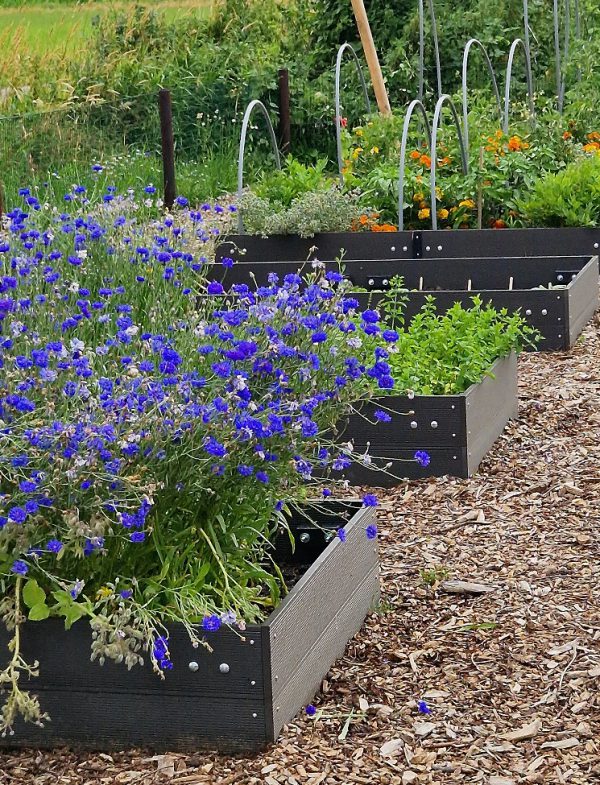 maatwerk en moestuin bakken