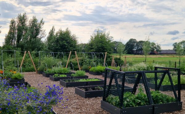 moestuinbakken van composiet planken.